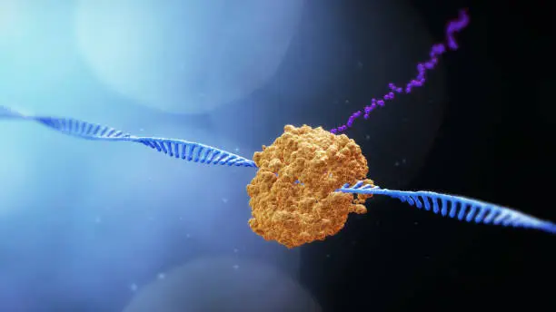 Otarmeni de Regeneron se convierte en la última terapia génica aprobada mediante un vale prioritario