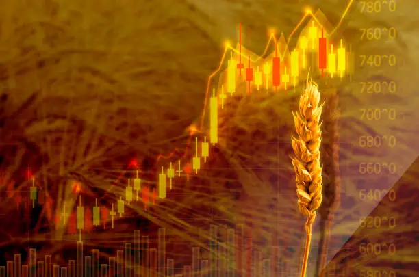Productores agroquímicos brasileños observan señales de precios de materias primas en la nueva propiedad de Braskem