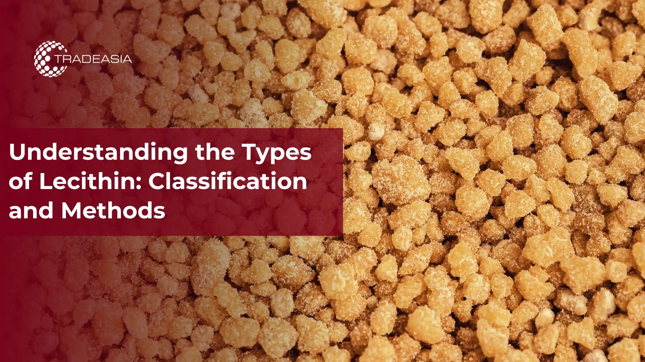 Understanding the Types of Lecithin: Classification and Methods